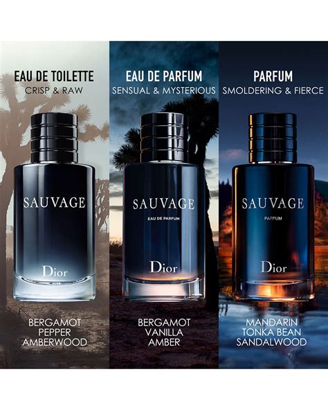 sauvage Dior perfume release date